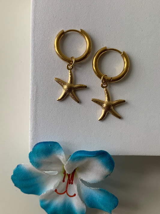 OCEAN MOOD - DUO ARIEL l Boucles inoxydables