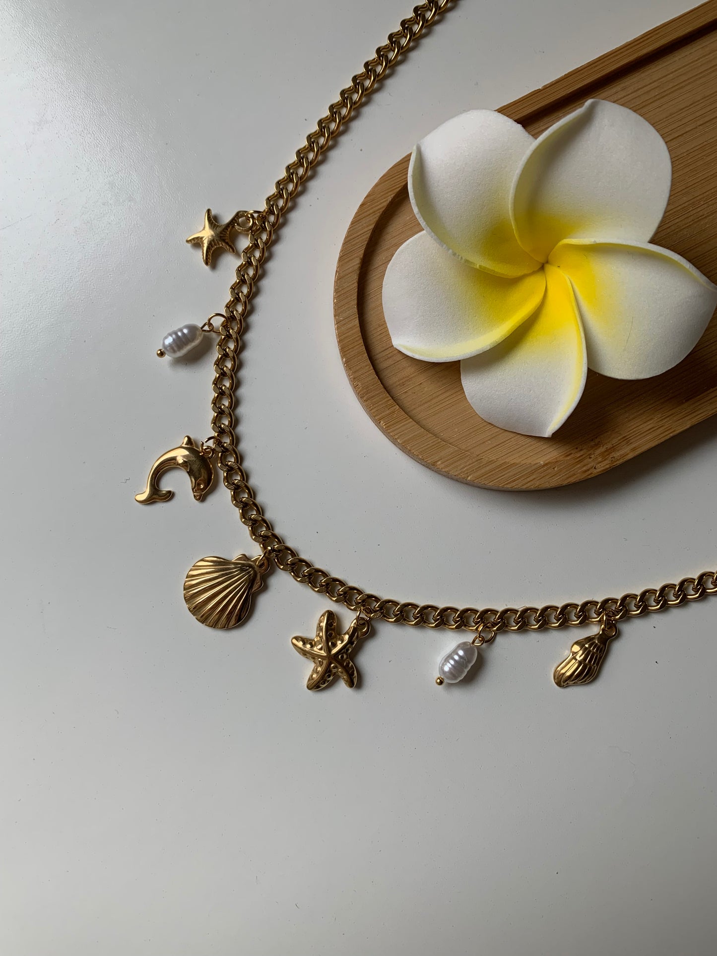 OCEAN MOOD - SEYCHELLES l Collier inoxydable