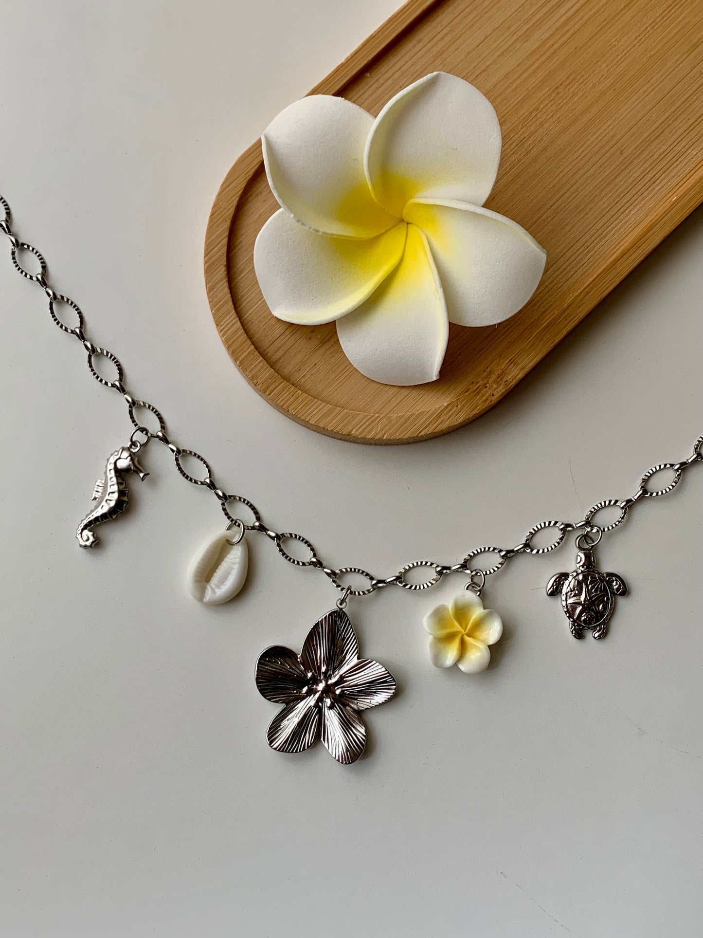 MADAGASCAR - Collier charms inoxydable