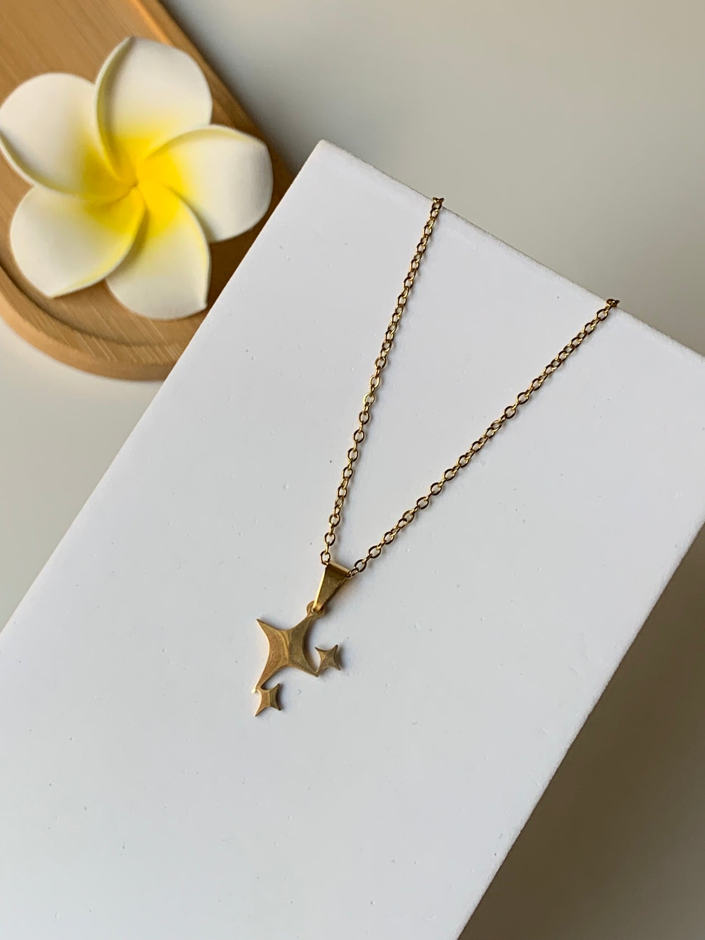 ASTRES - MAGIE l Collier inoxydable