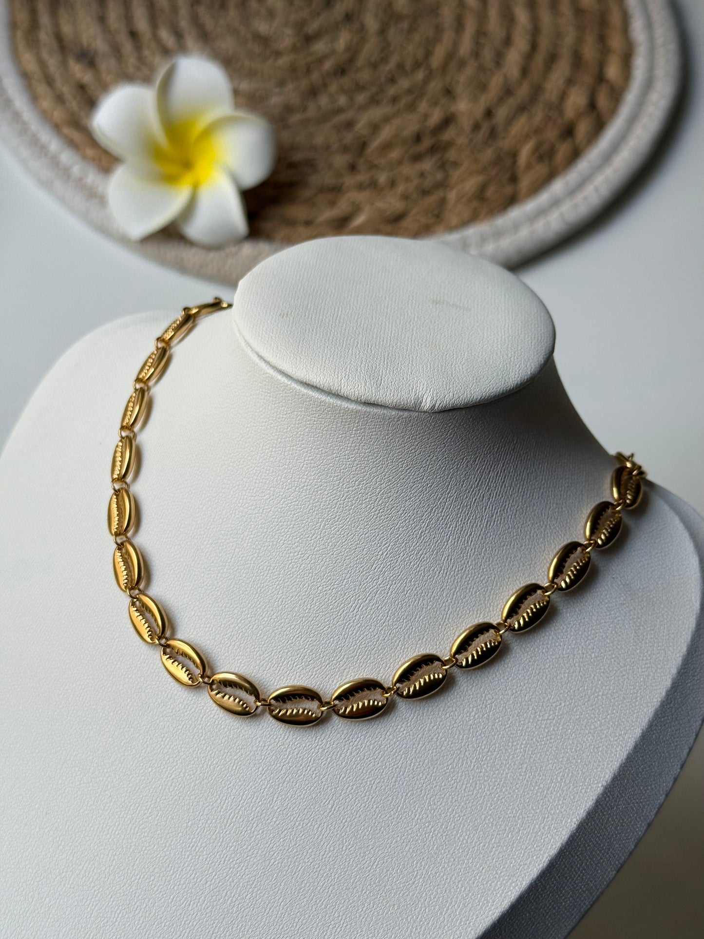 OCEAN MOOD - LAGON l Collier inoxydable