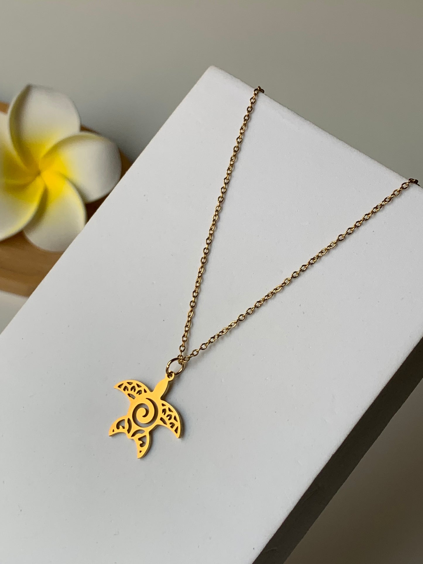 OCEAN MOOD - GALAPADOS l Collier inoxydable