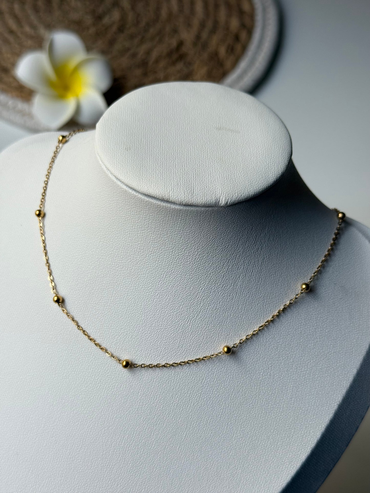 ALBA l Collier inoxydable