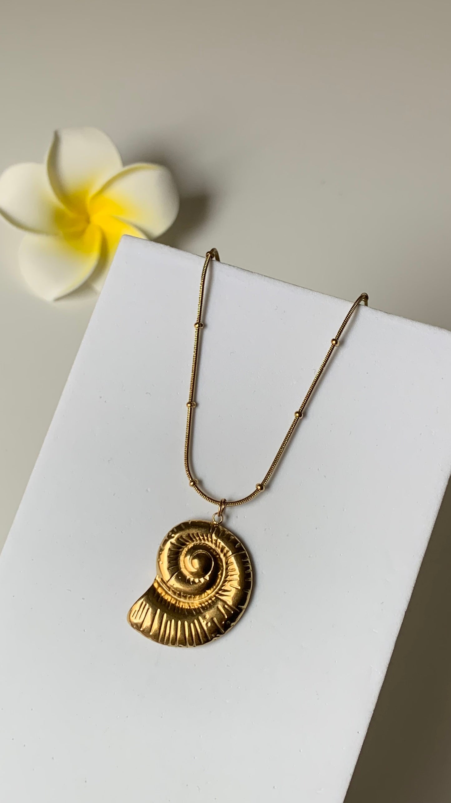 OCEAN MOOD - Collier inoxydable