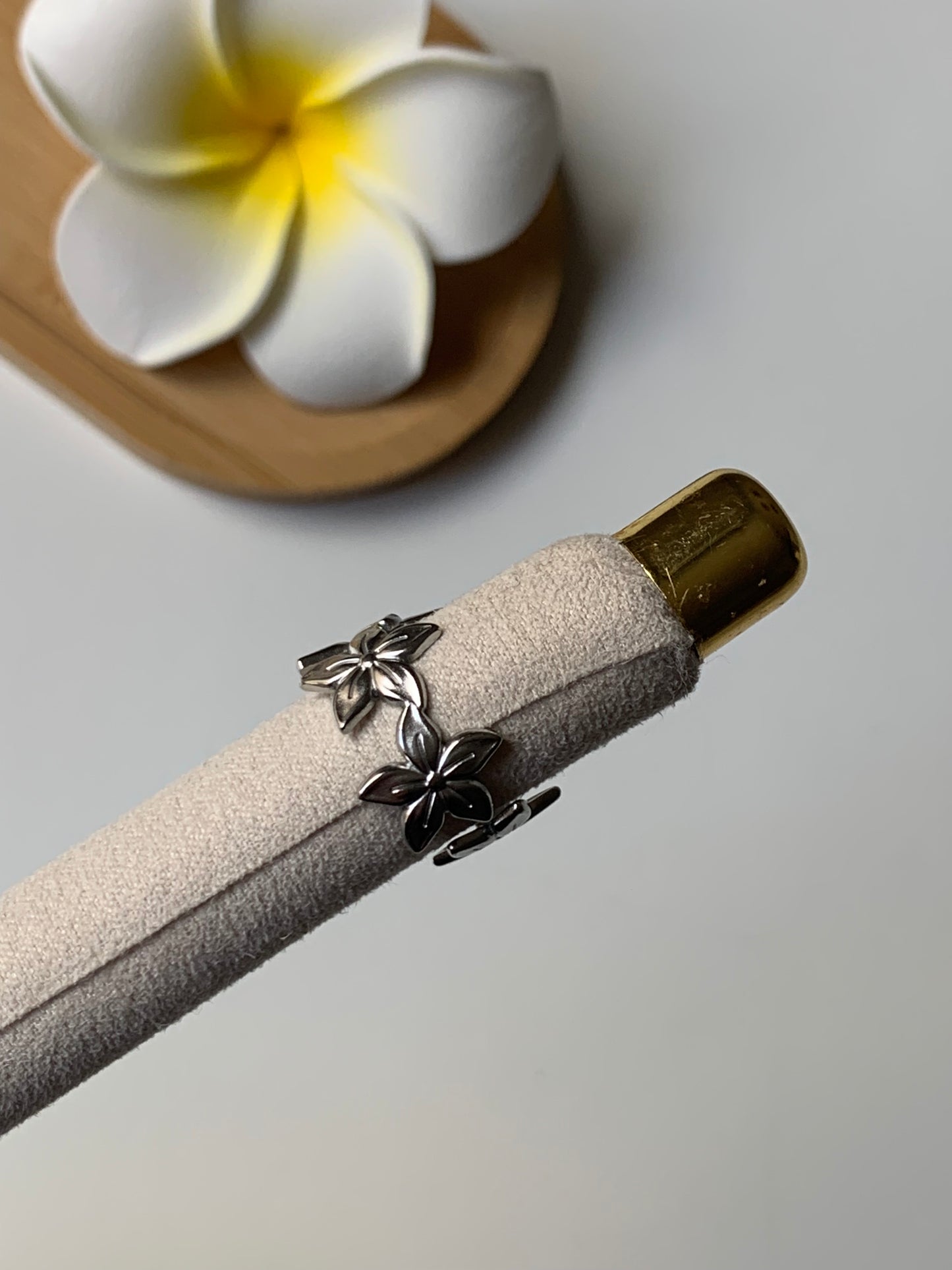 THALYS l Bague inoxydable