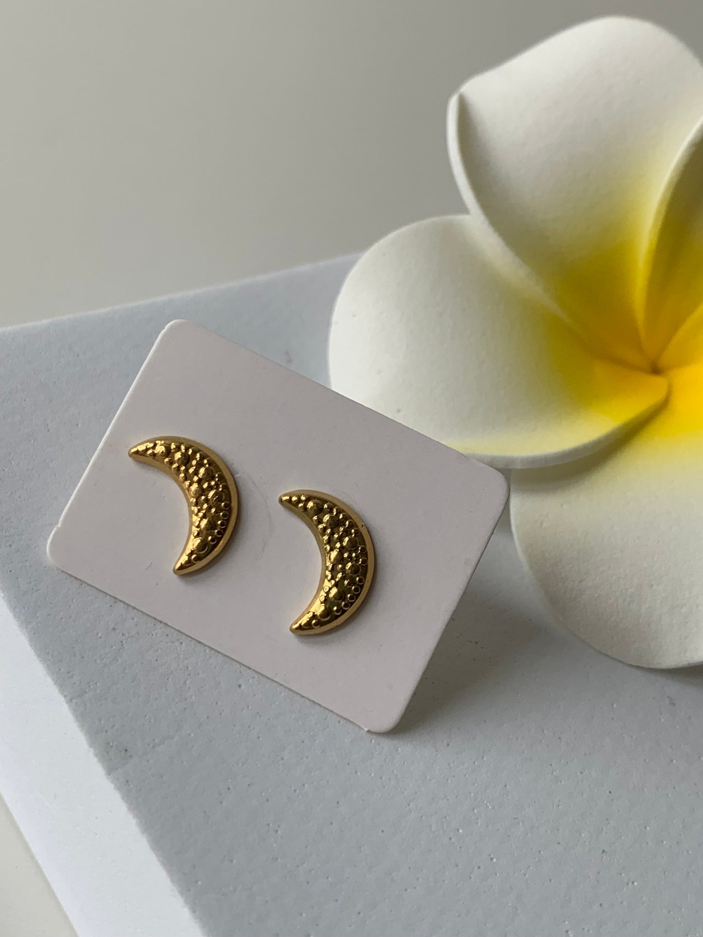 ASTRES - LUNA l Puces inoxydables