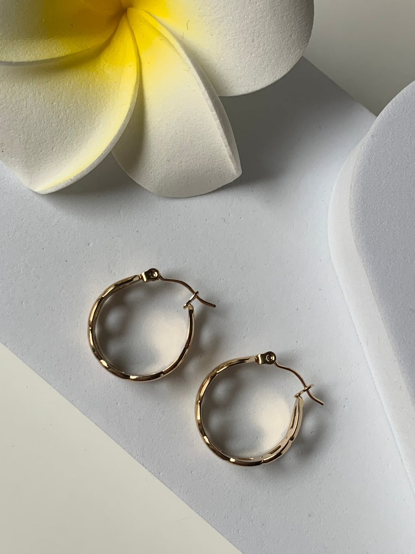ALBA l Boucles inoxydables