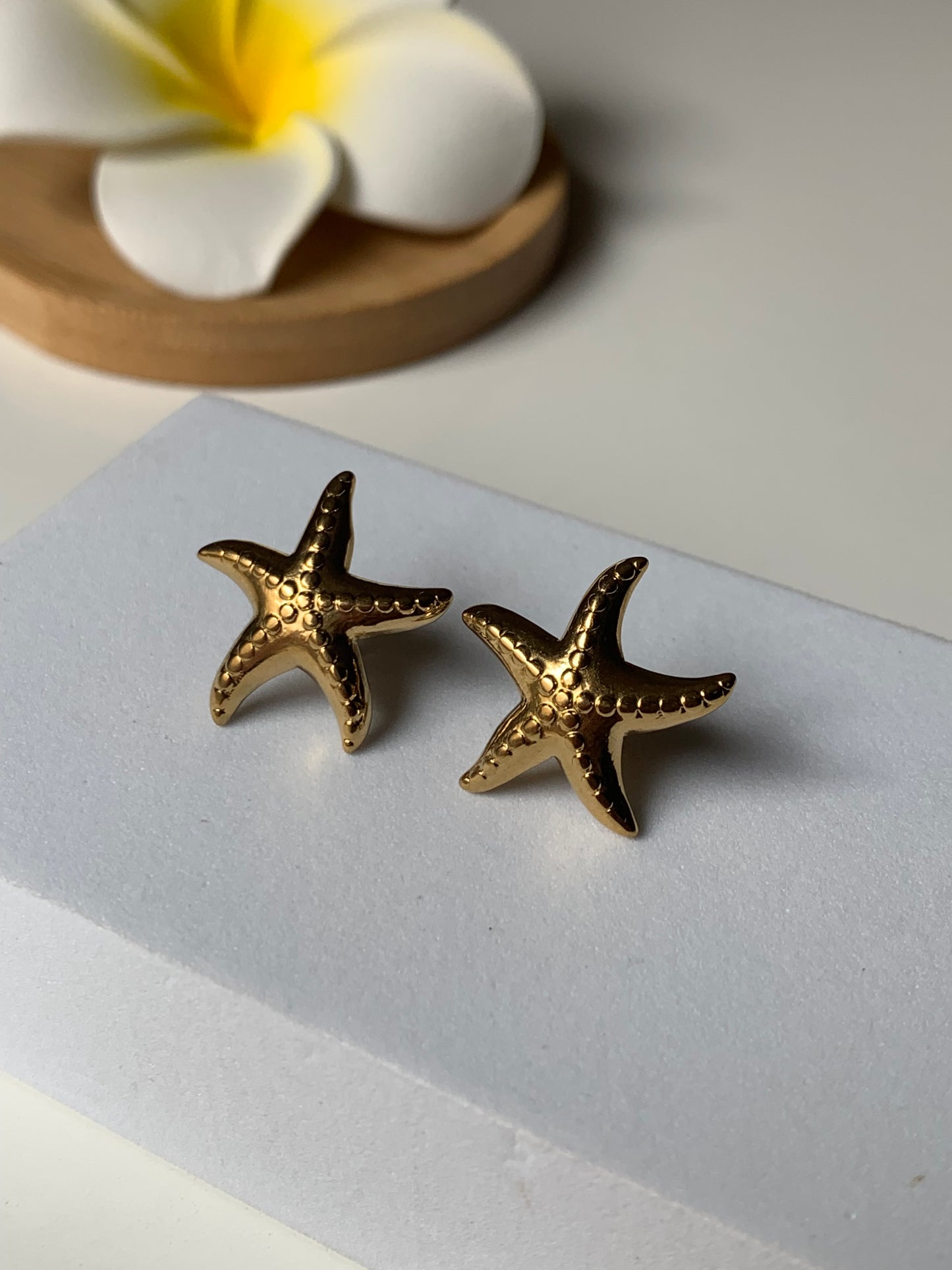 OCEAN MOOD - LAOS l Boucles inoxydables