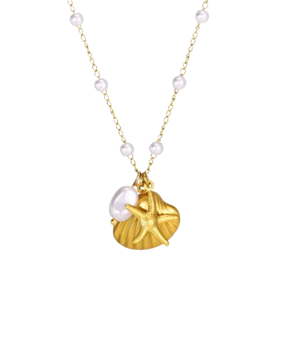 RIO l Collier inoxydable