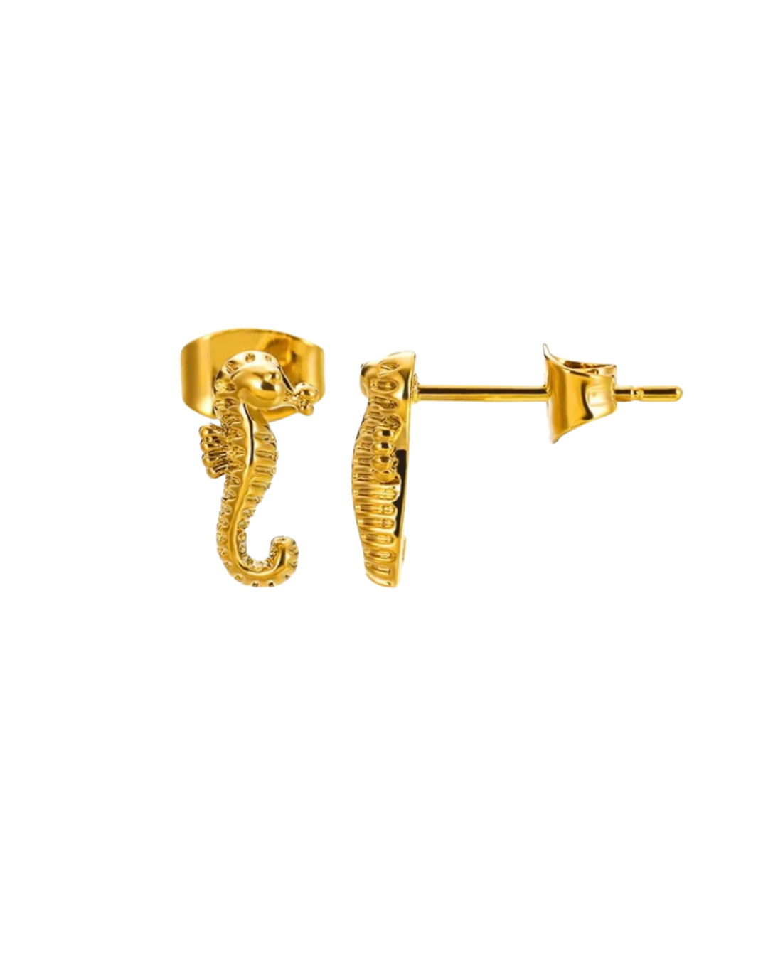 ANÉMONE l Boucles inoxydables