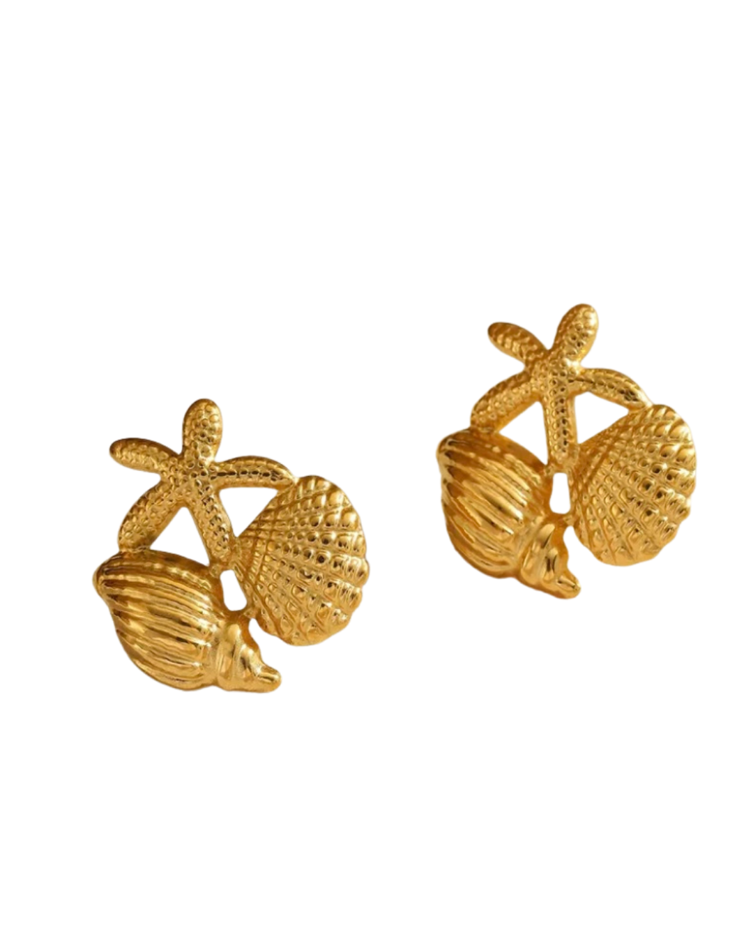 OASIS l Boucles inoxydables