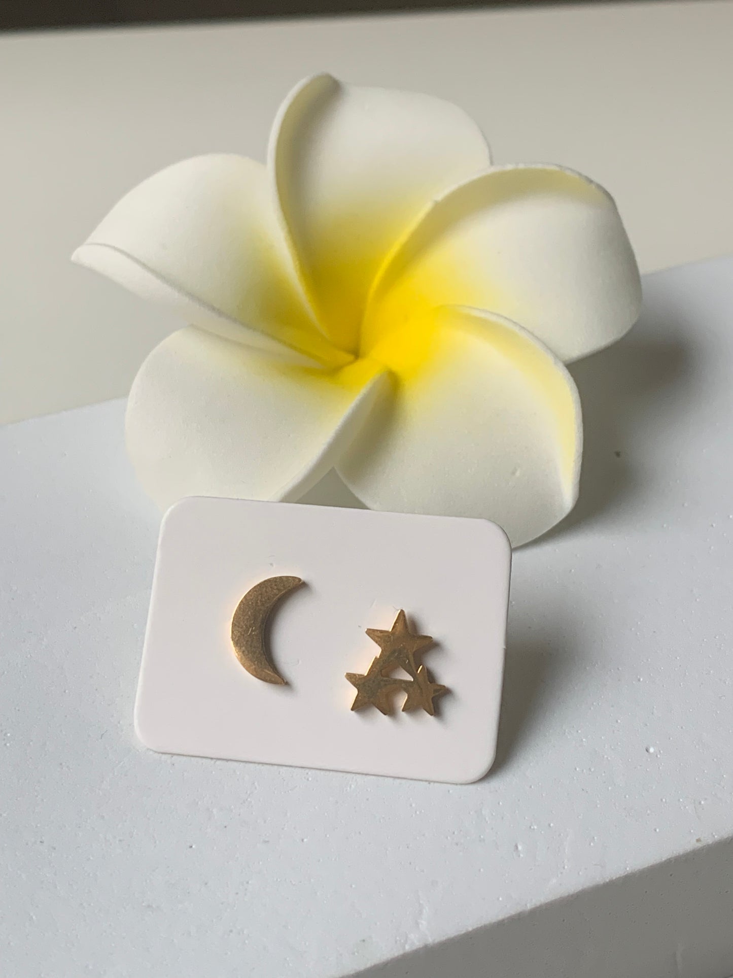 ASTRES - UNIVERS l Puces inoxydables