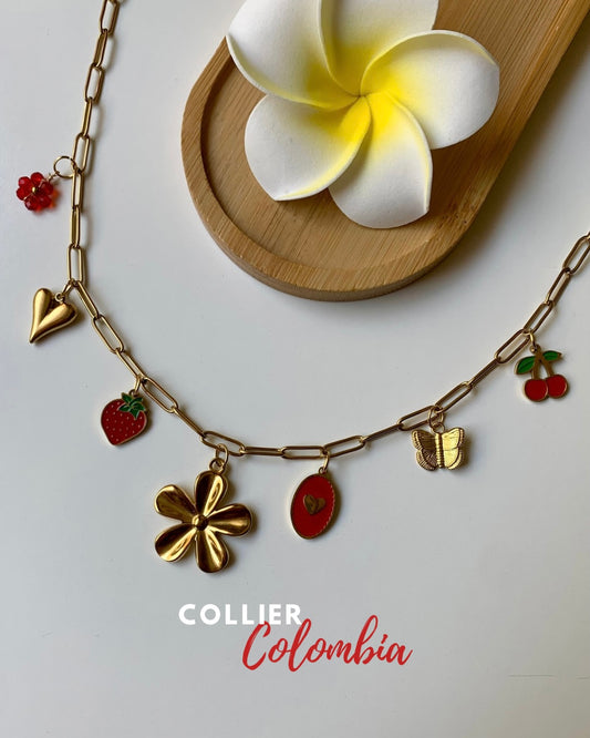 COLOMBIA - Collier charms inoxydable