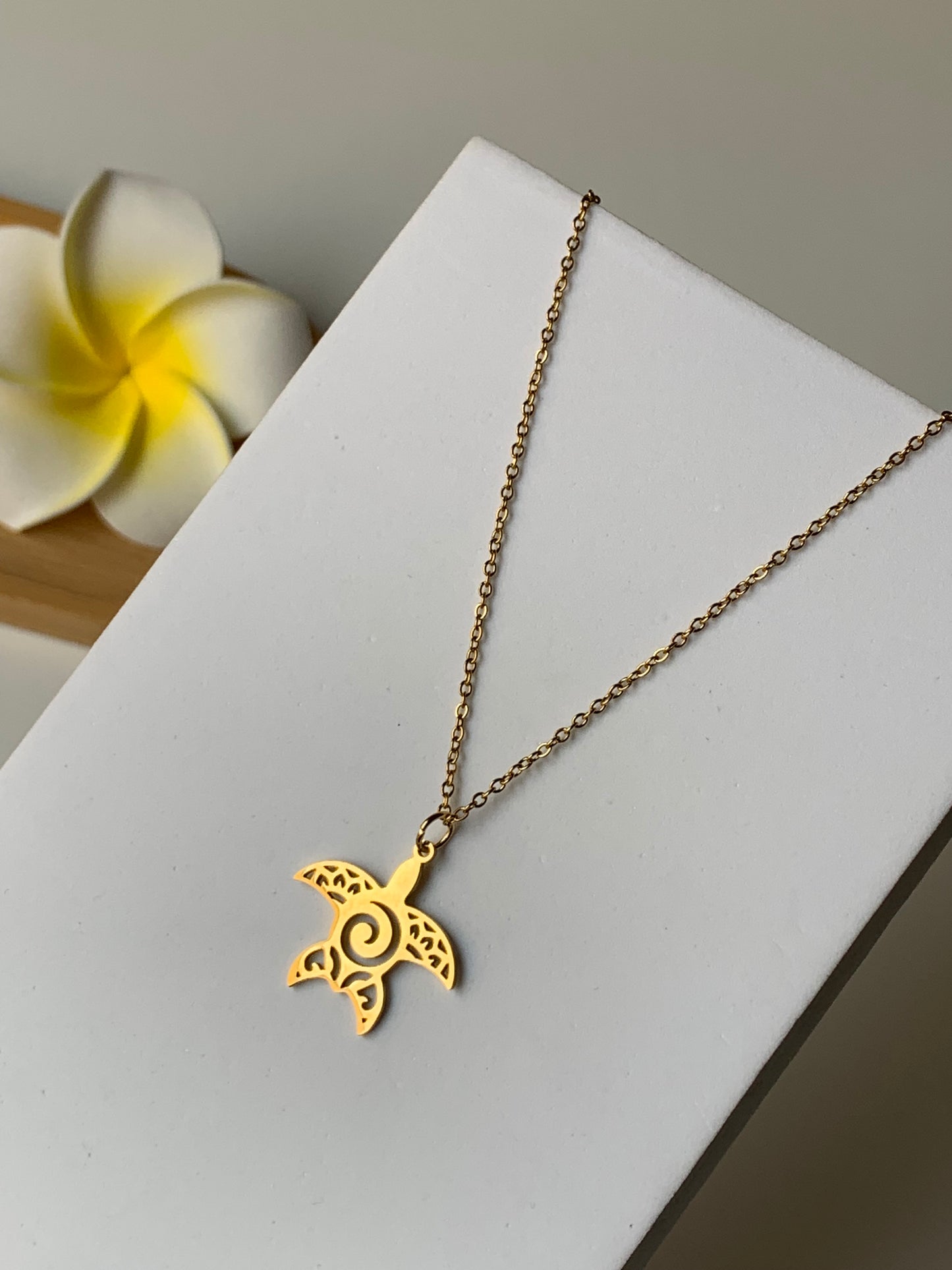 OCEAN MOOD - GALAPADOS l Collier inoxydable