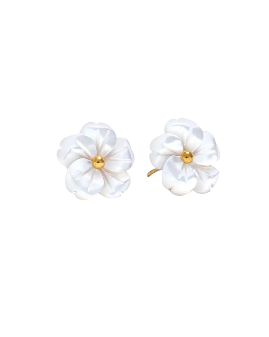 IRIS l Boucles inoxydables