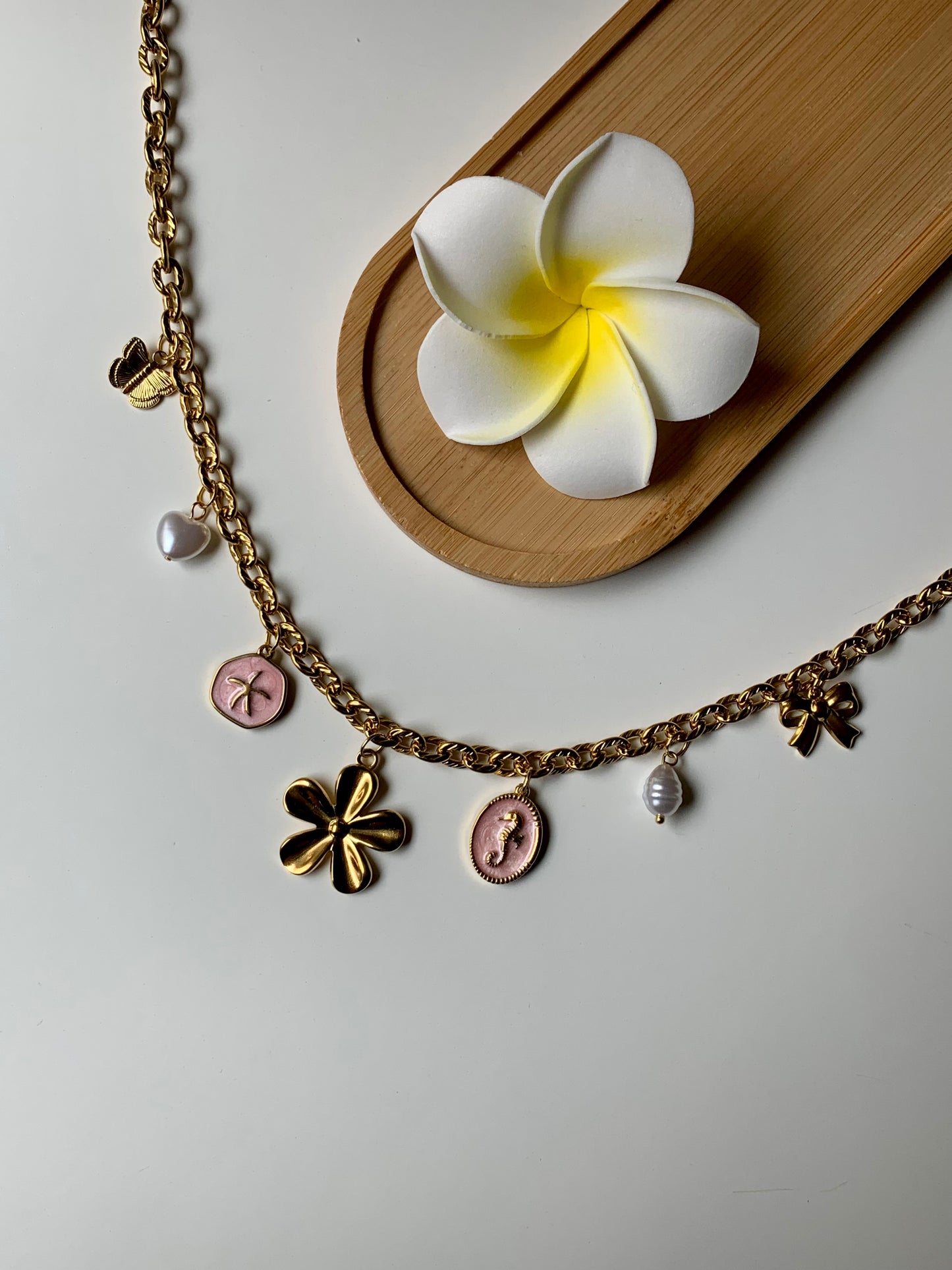 CALIFORNIE - Collier charms inoxydable