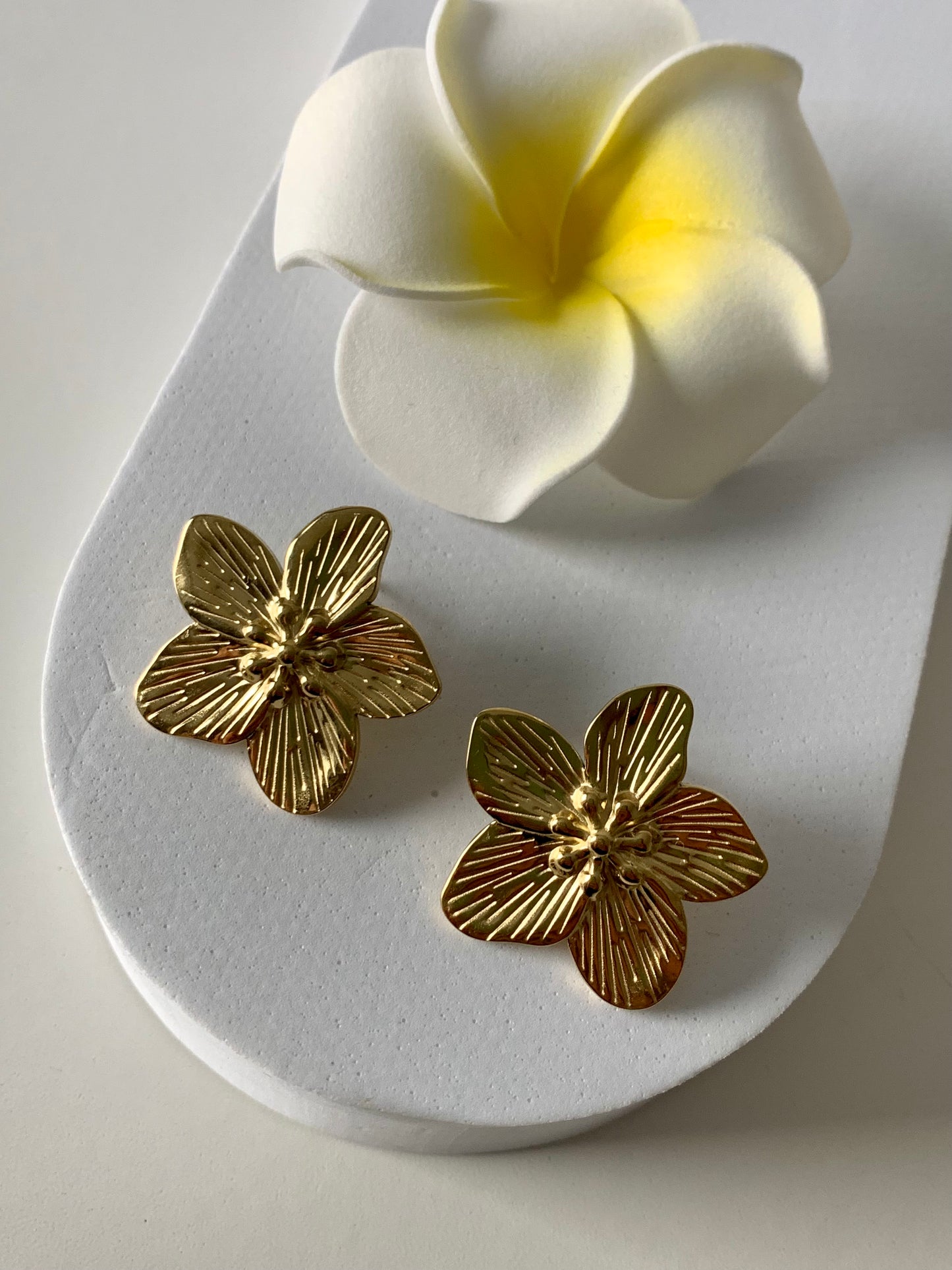 MOANA l Boucles inoxydables