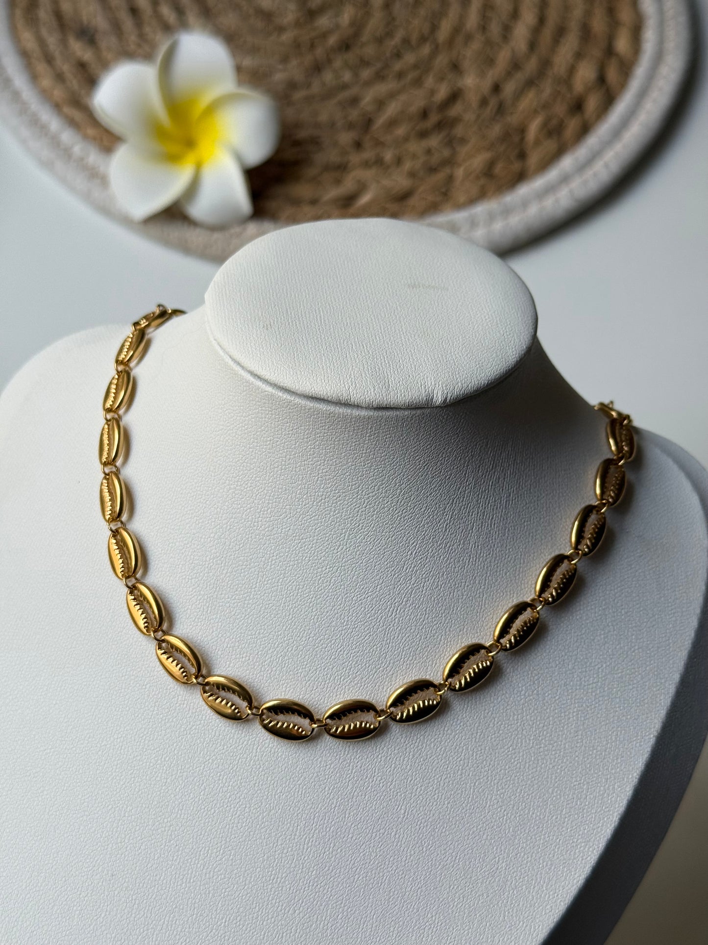 OCEAN MOOD - LAGON l Collier inoxydable