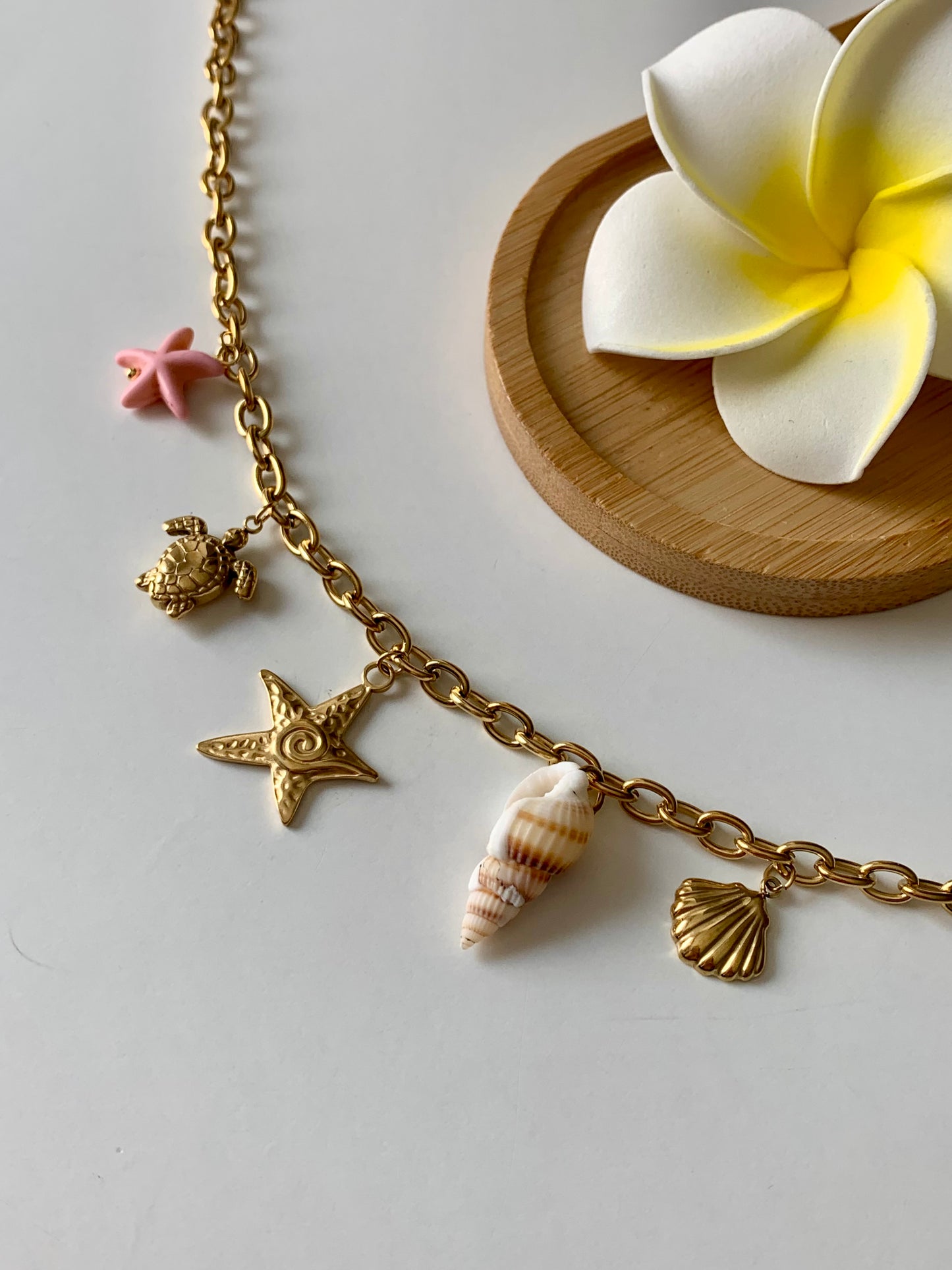 PANAMA l Collier inoxydable
