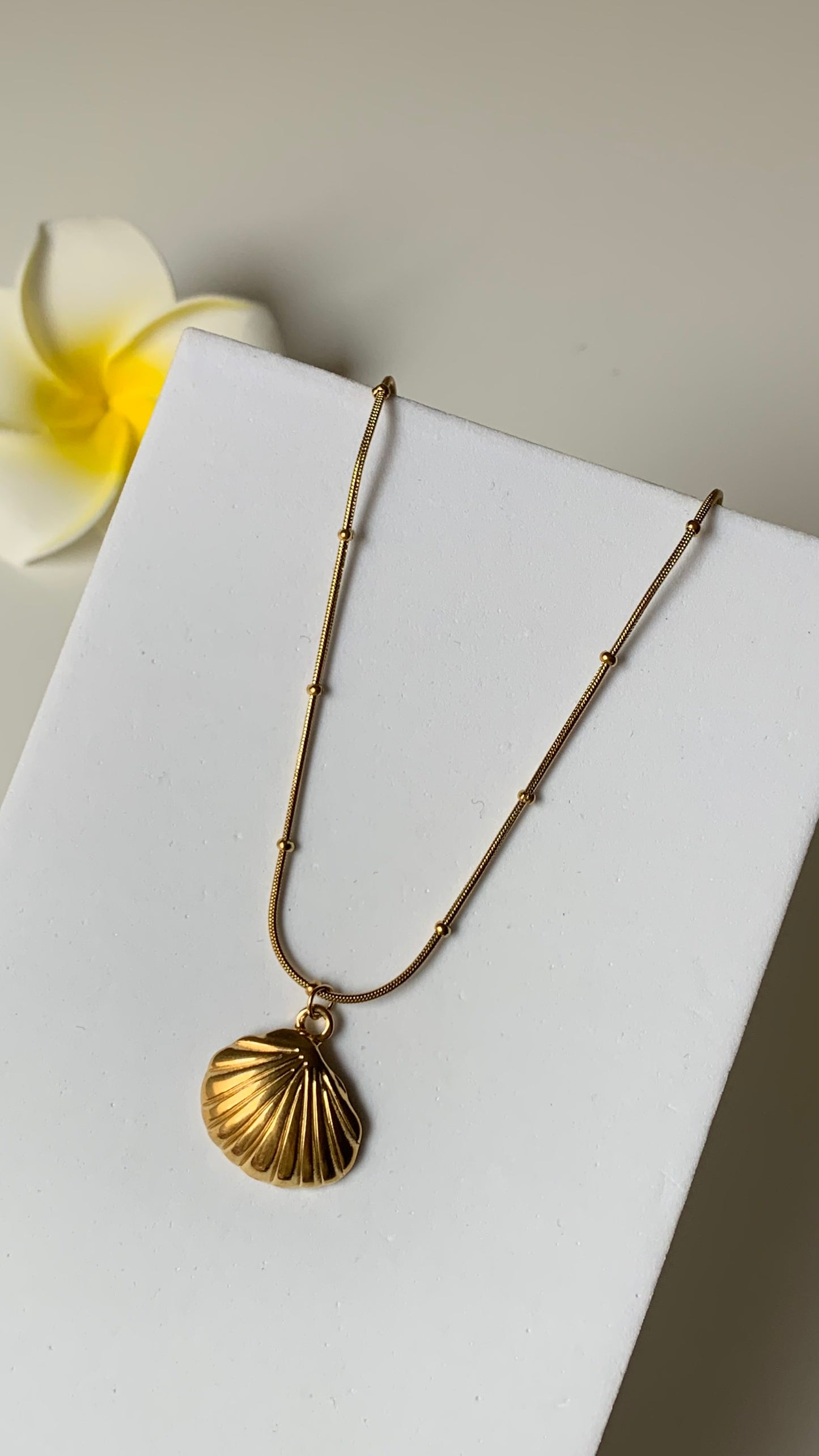 OCEAN MOOD - Collier inoxydable