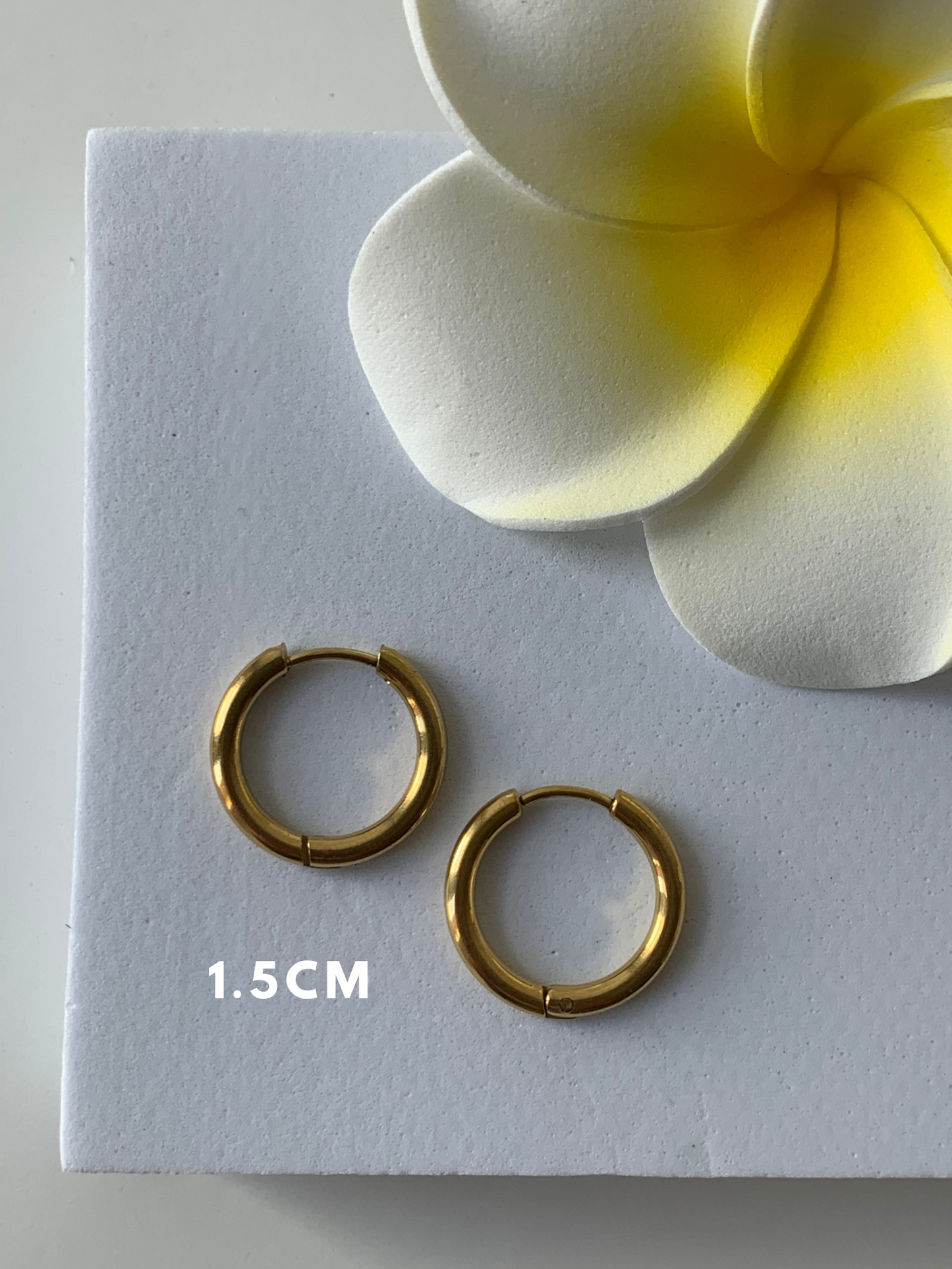 ELSA l Anneaux inoxydables - 1.5cm