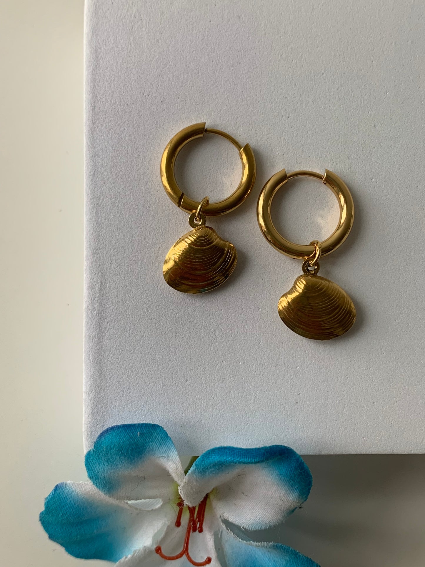 OCEAN MOOD - DUO ÉCUME l Boucles inoxydables