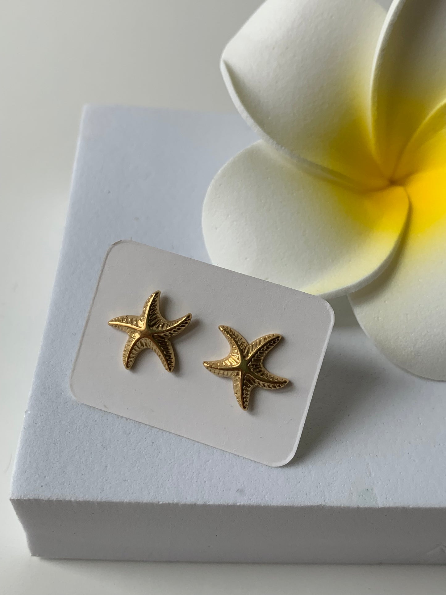 OCEAN MOOD - ARIEL l Puces inoxydables