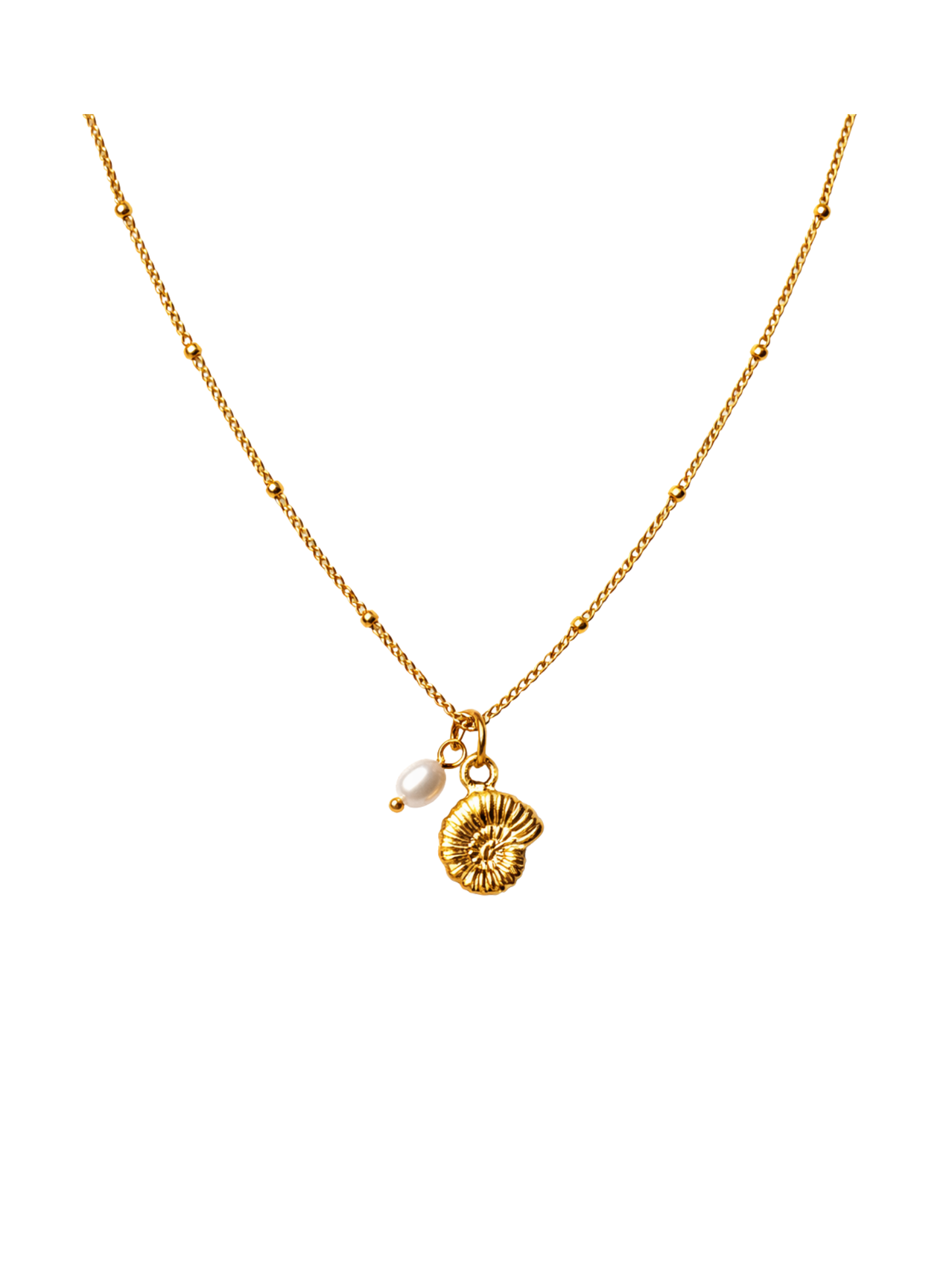 OCEAN MOOD - CONQUE l Collier inoxydable