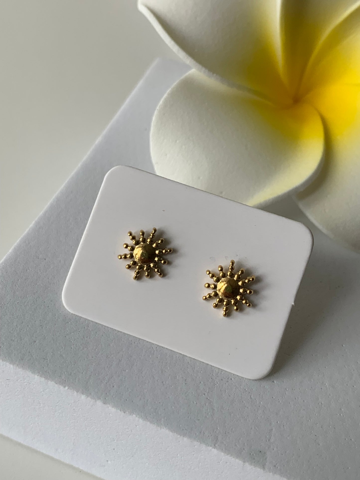 ASTRES - SOLAIRE l Puces inoxydables