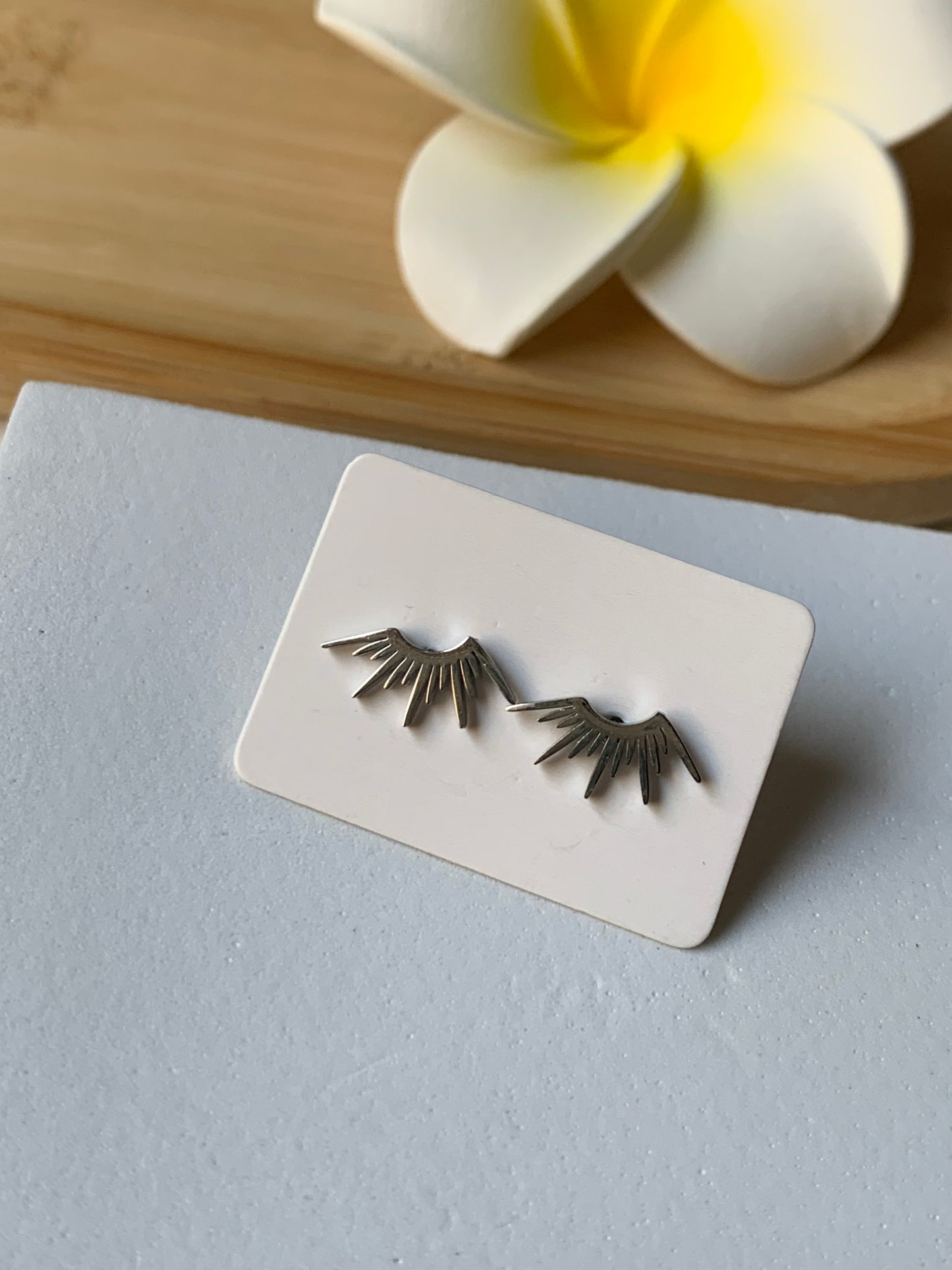 ASTRES - SOLEA l Puces inoxydables