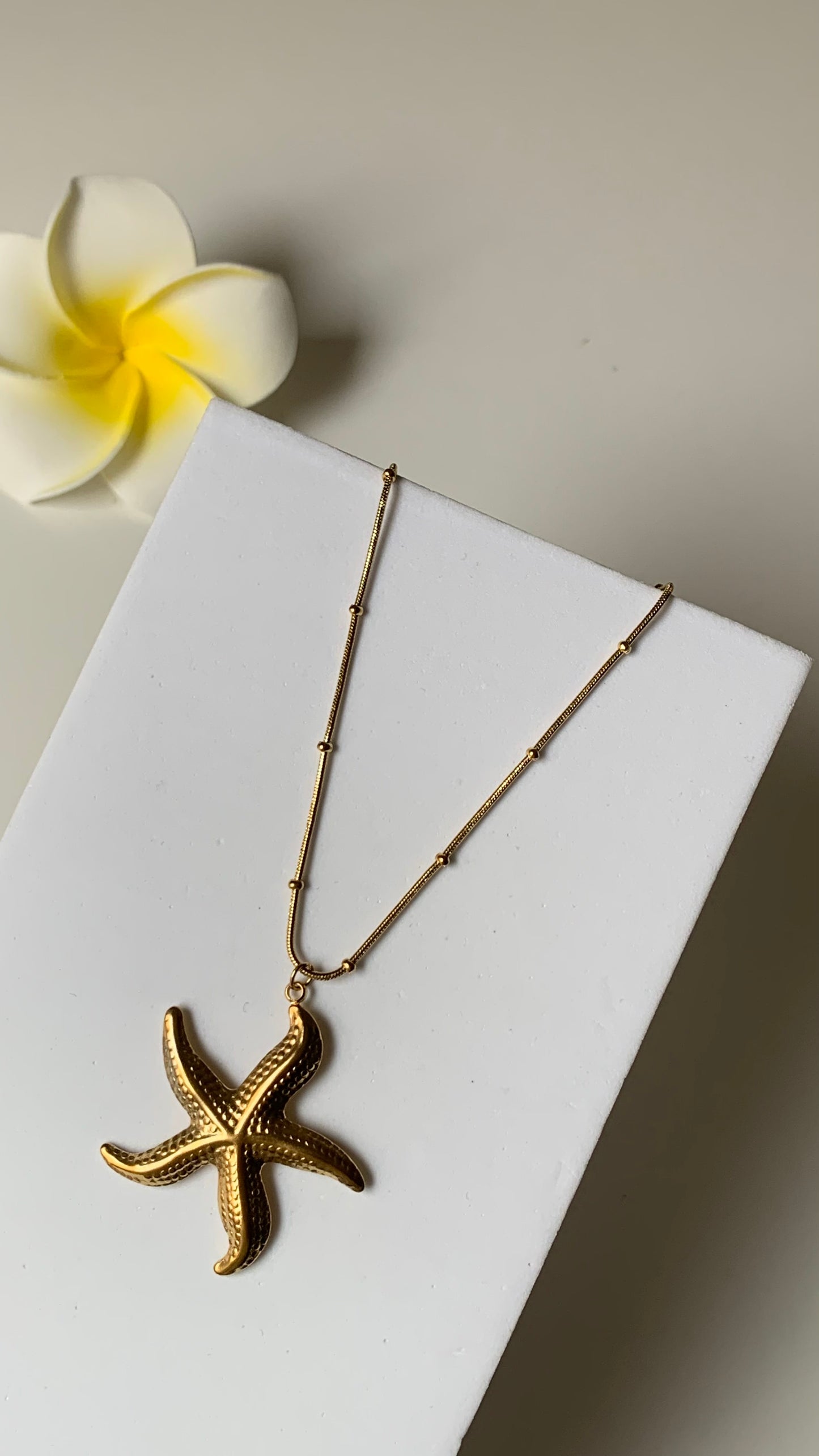 OCEAN MOOD - Collier inoxydable