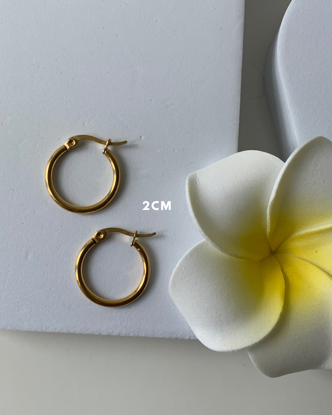 JUDE l Créoles inoxydables -2cm-