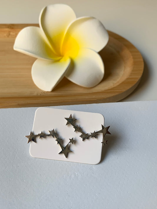 ASTRES - GALAXIE l Puces inoxydables