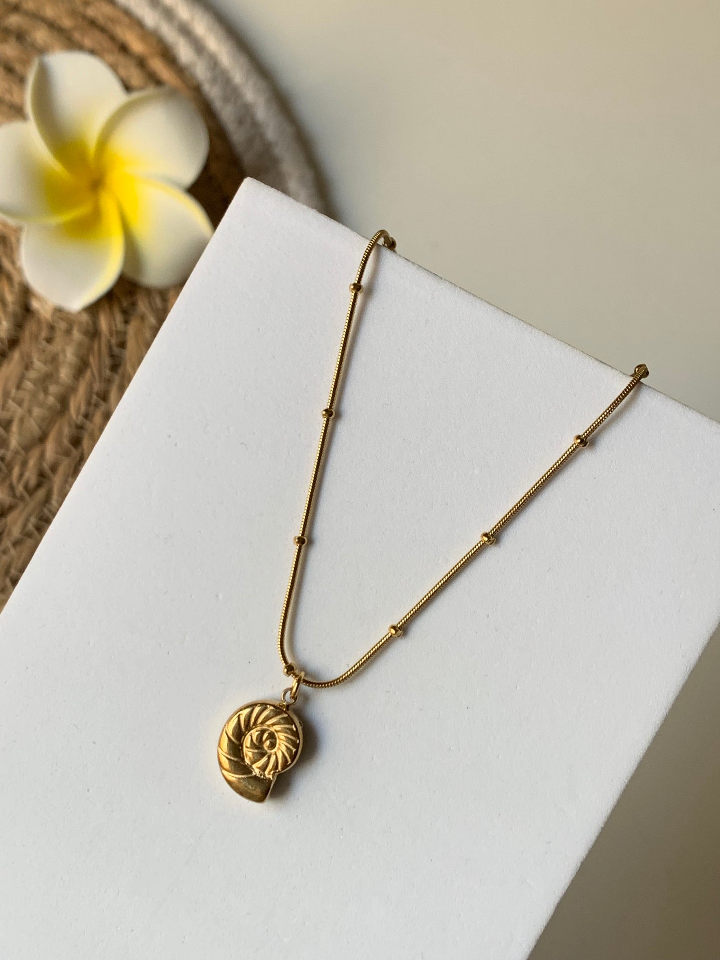 OCEAN MOOD l Collier inoxydable