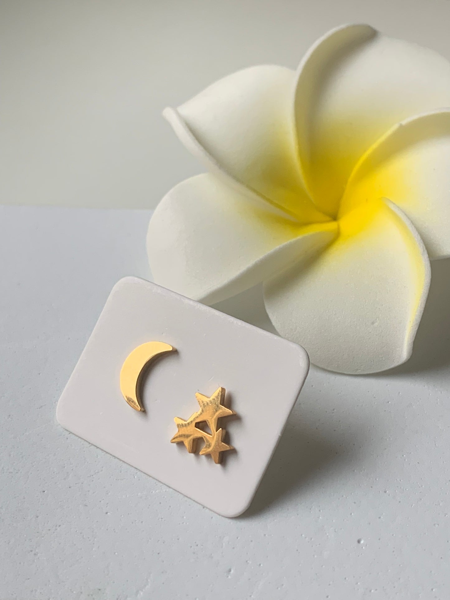 ASTRES - UNIVERS l Puces inoxydables