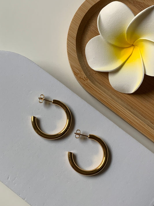 VERA l Boucles inoxydables