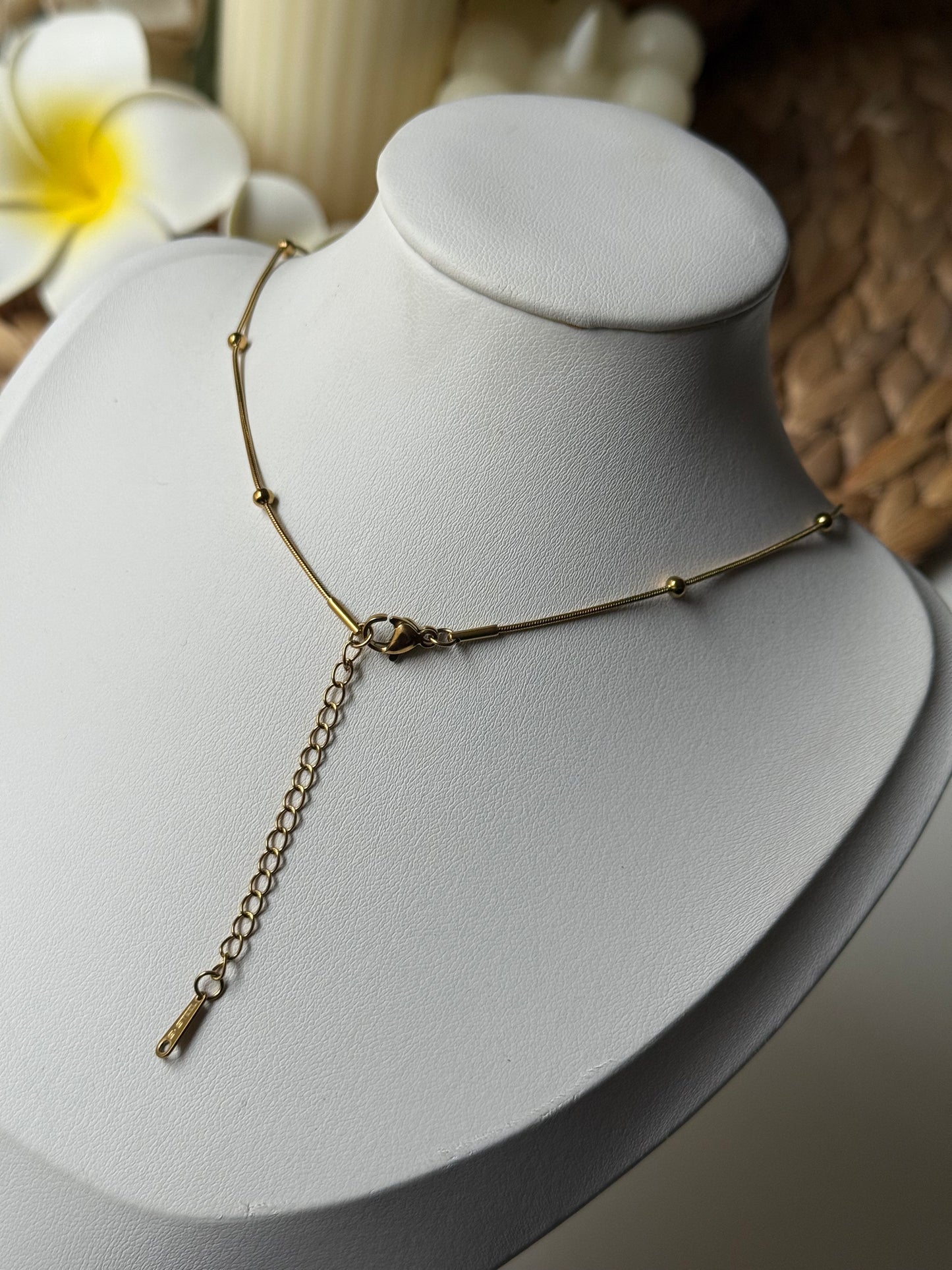 LILIA l Collier inoxydable