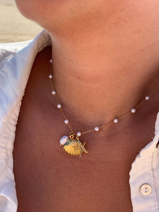 RIO l Collier inoxydable