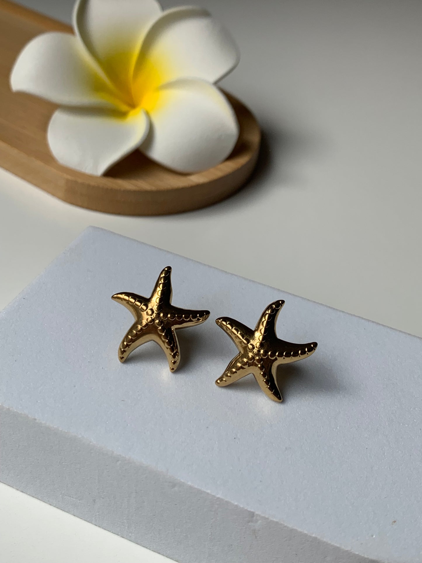 OCEAN MOOD - LAOS l Boucles inoxydables