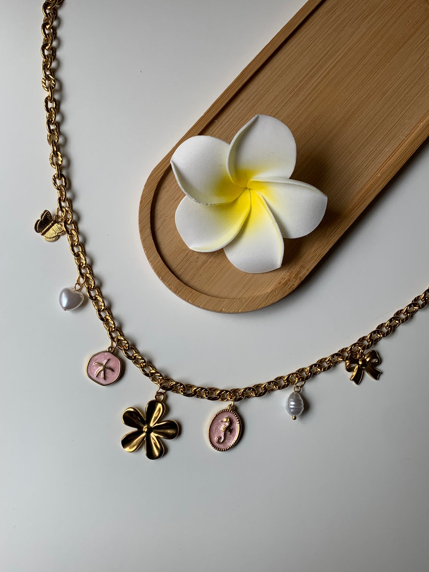 CALIFORNIE - Collier charms inoxydable