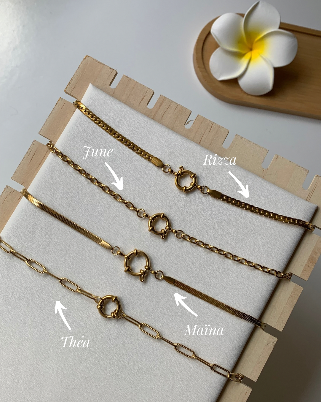 CHOCKER l Collier inoxydable personnalisable