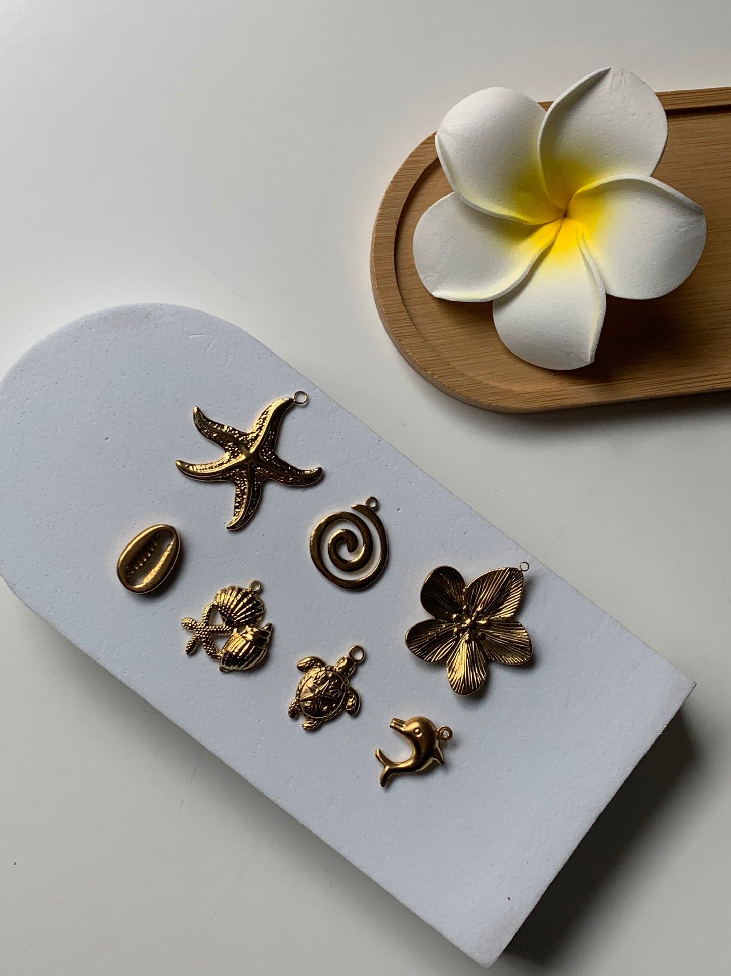 TROPICAL l Charms inoxydable