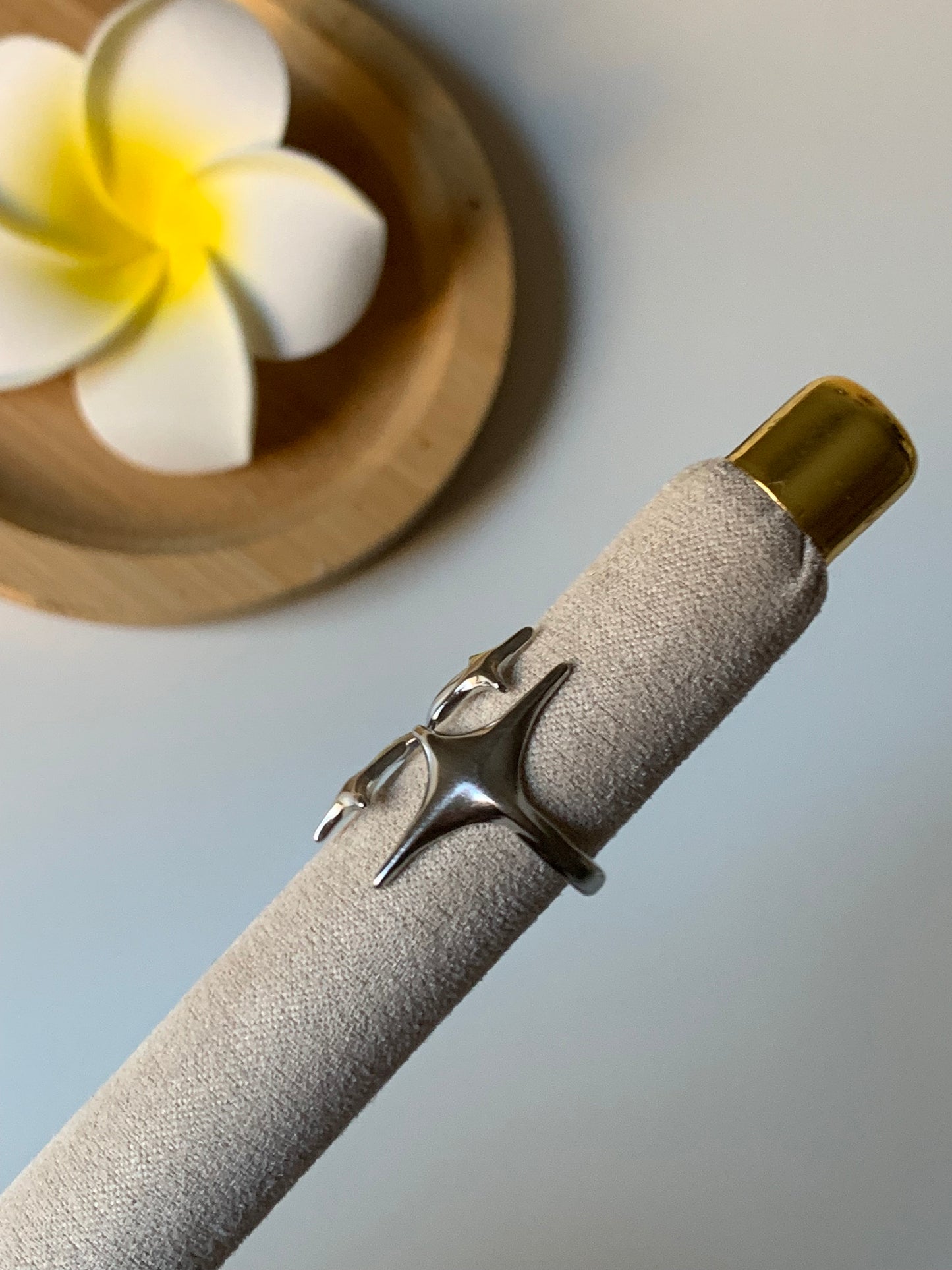 ASTRES - FÉÉRIE l Bague inoxydable