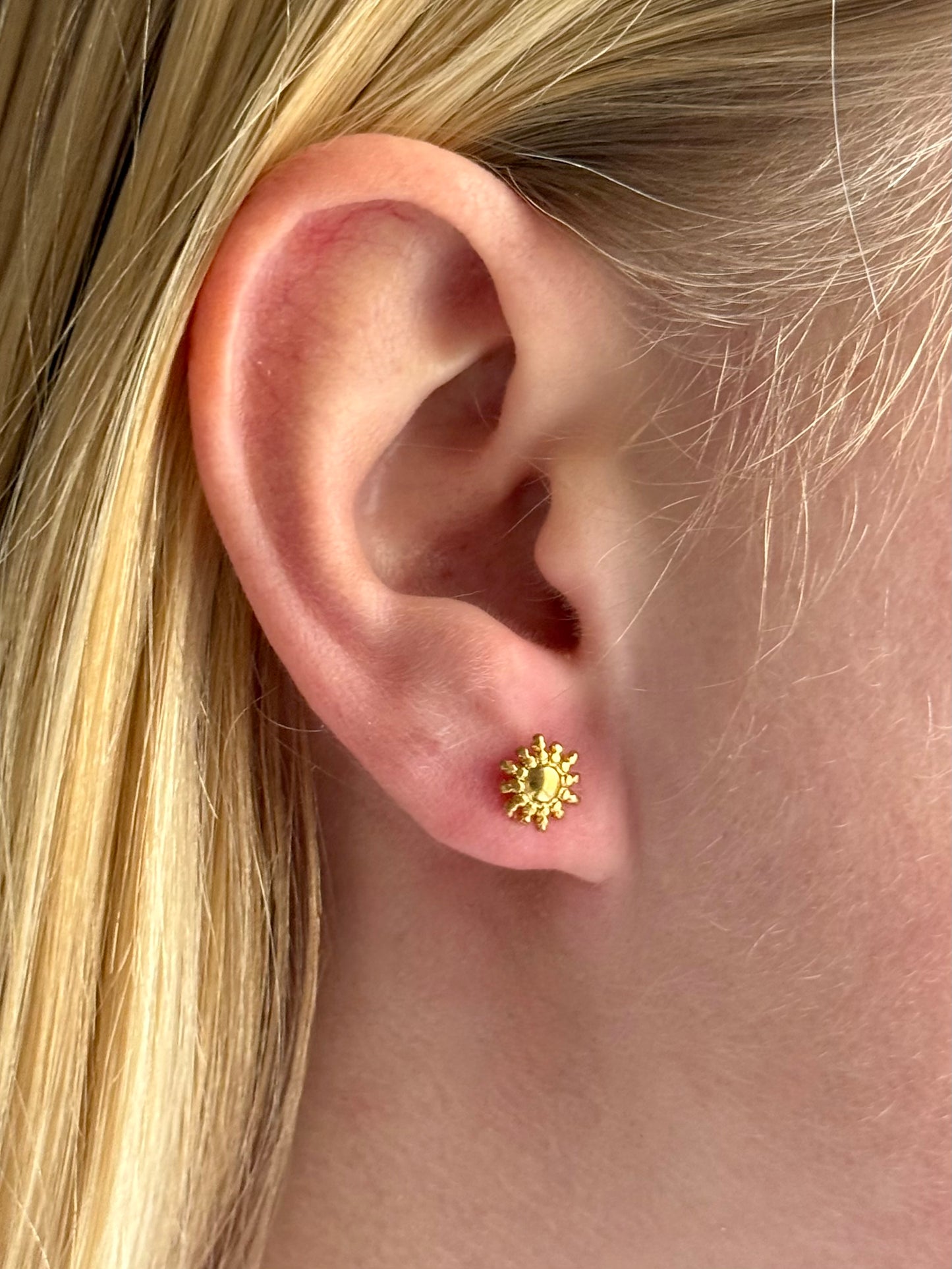 ASTRES - SOLAIRE l Puces inoxydables