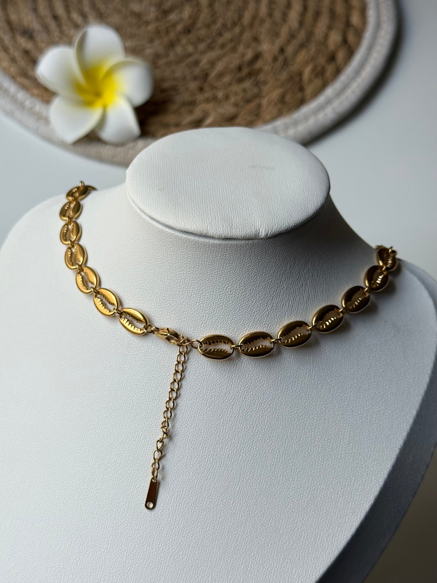 OCEAN MOOD - LAGON l Collier inoxydable