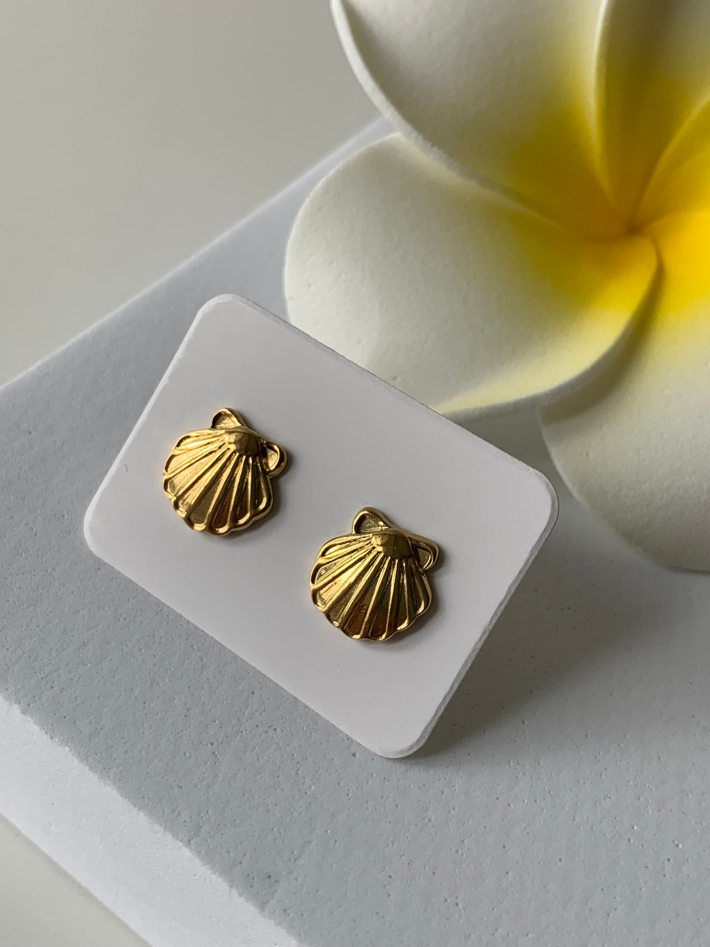 OCEAN MOOD - ARCHIPEL l Puces inoxydables