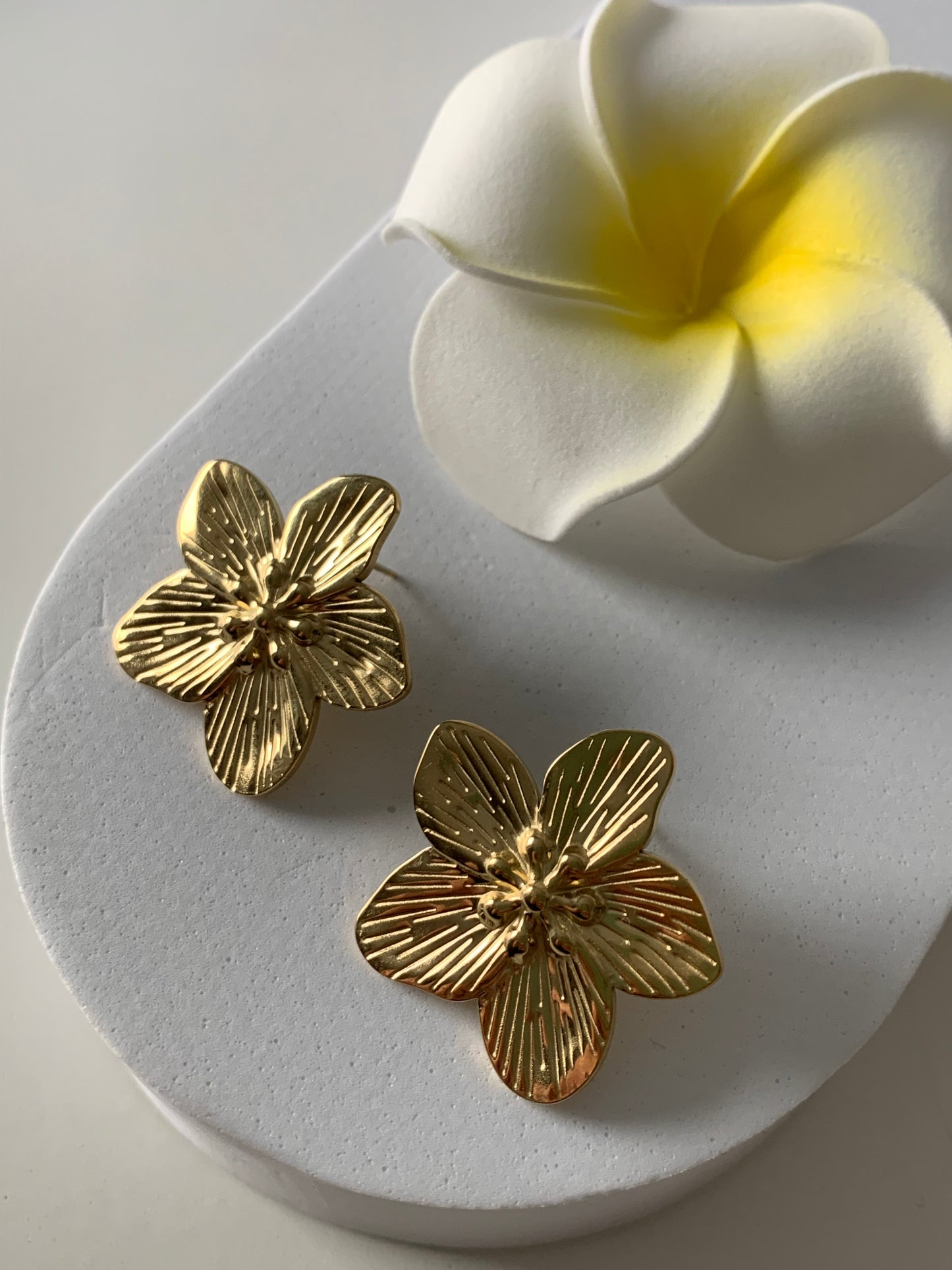 MOANA l Boucles inoxydables