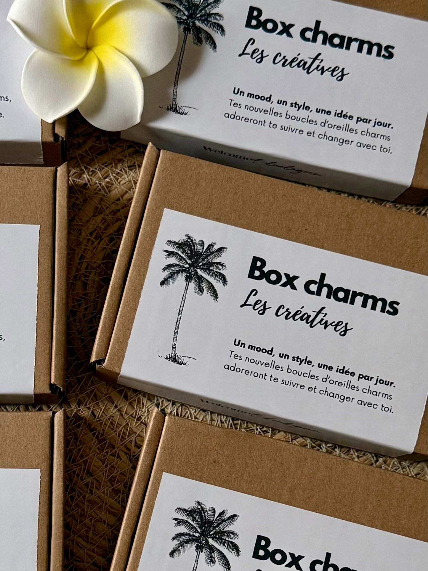 LES CRÉATIVES l Ta prochaine box charms