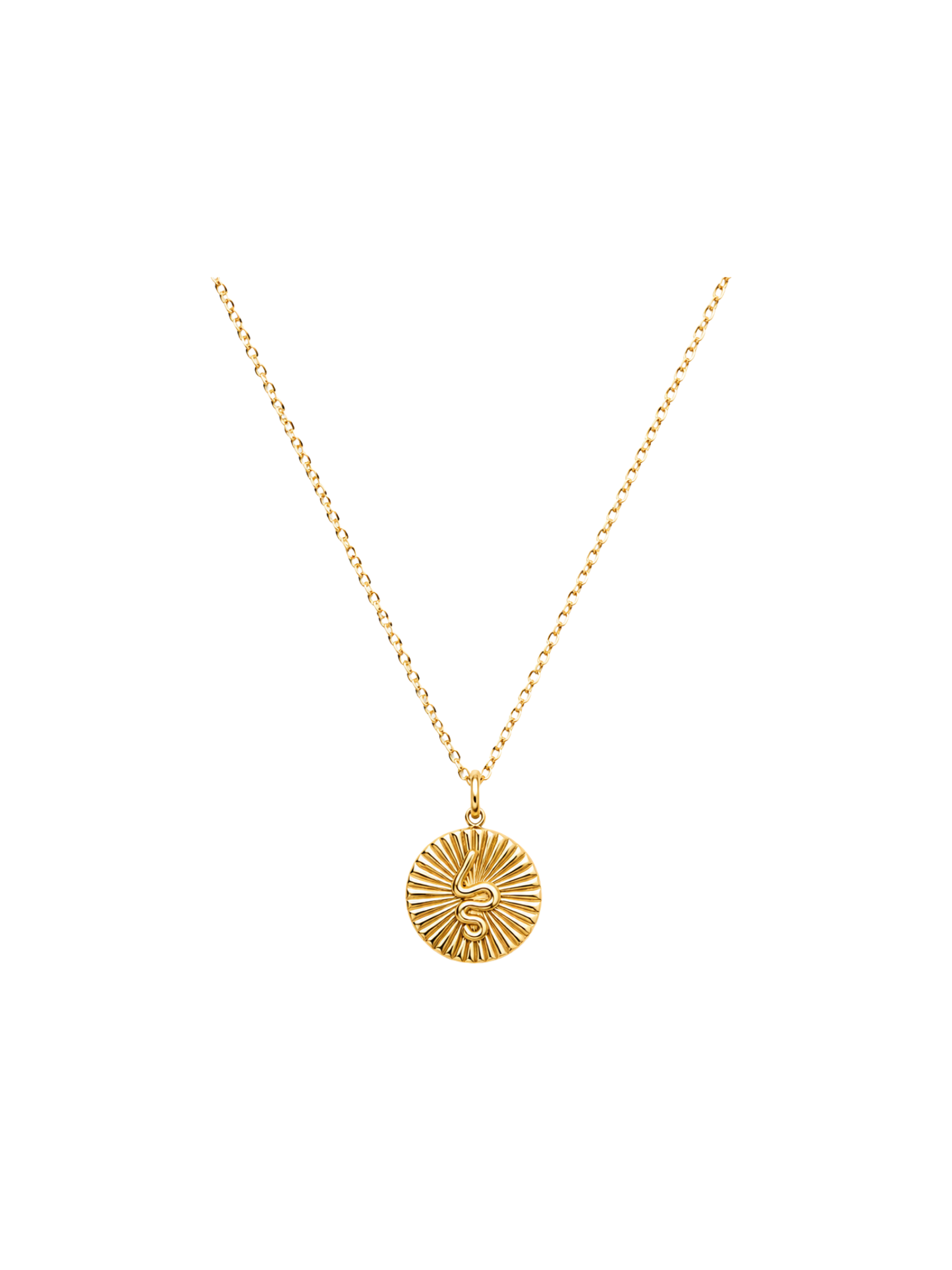 NEW l Collier inoxydable