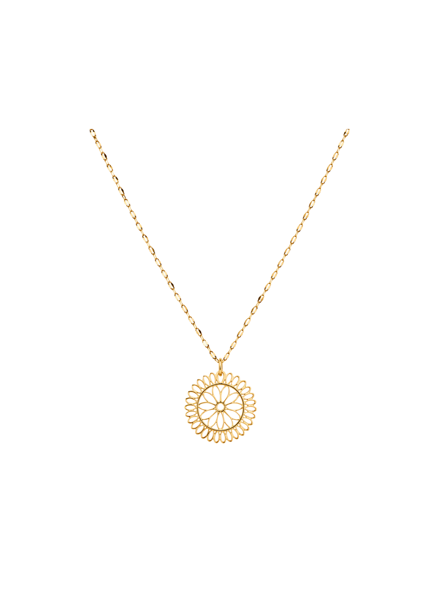NEW l Collier inoxydable